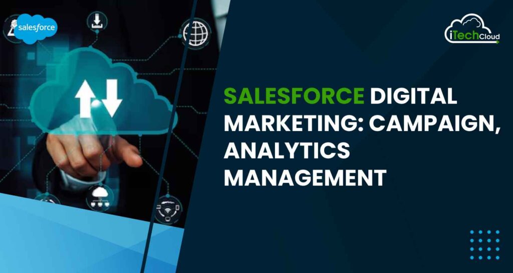 Salesforce Digital Marketing: Campaign, Analytics Management