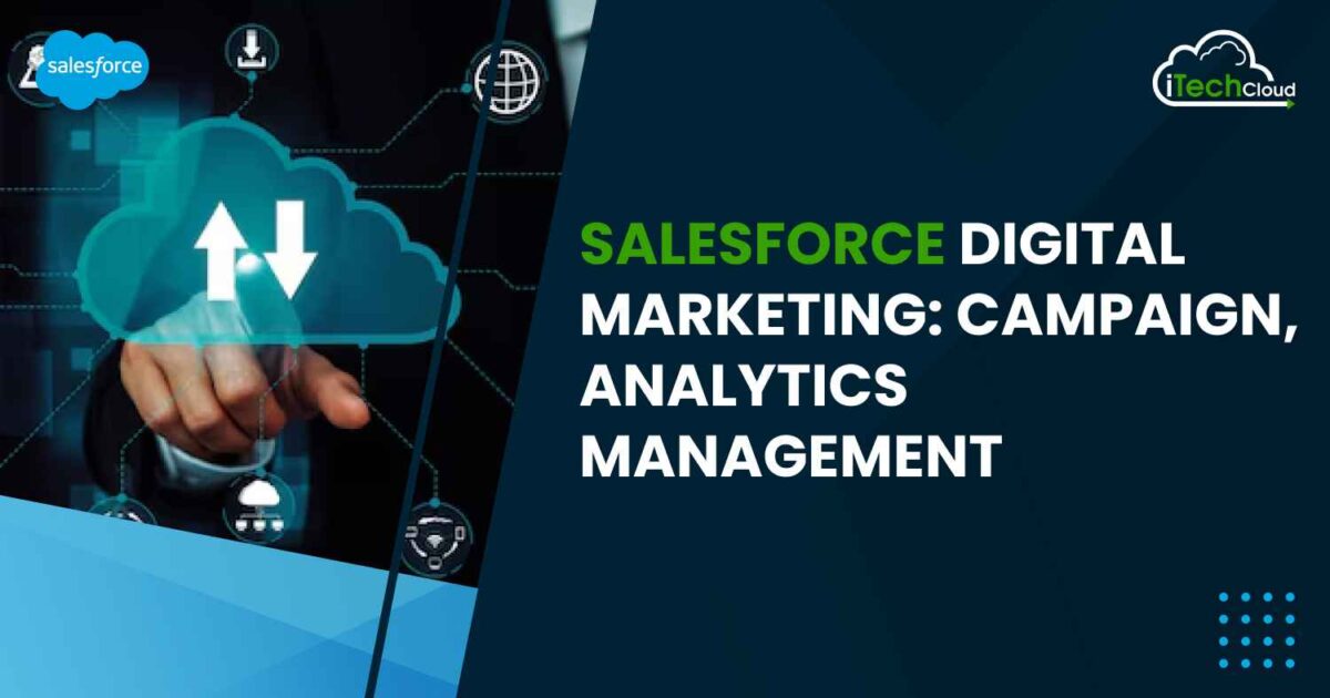 Salesforce Digital Marketing: Campaign, Analytics Management