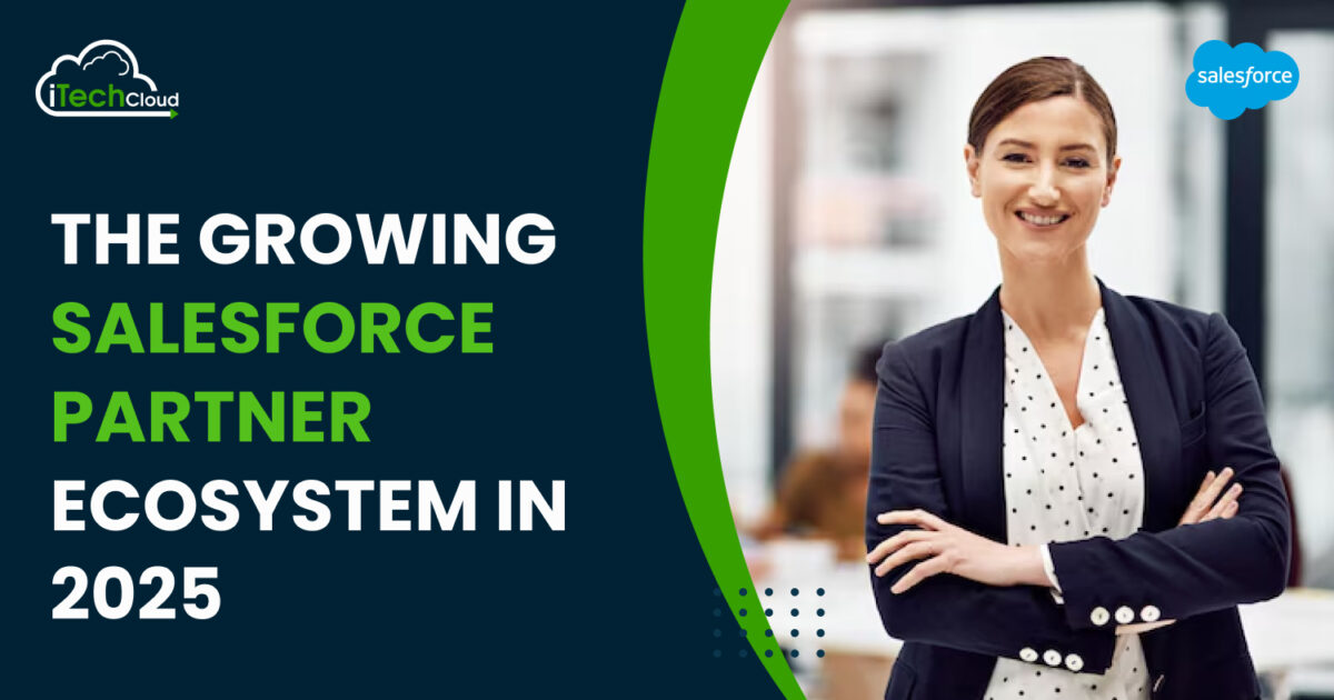 The Growing Salesforce Partner Ecosystem in 2025